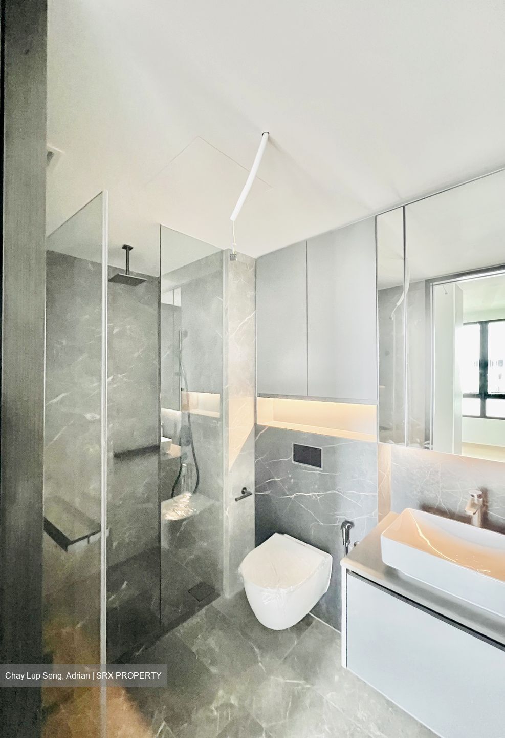 Irwell Hill Residences (D9), Apartment #445998911